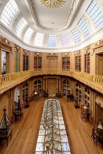 Teylers Museum - Oval room 3 by Teylers Museum