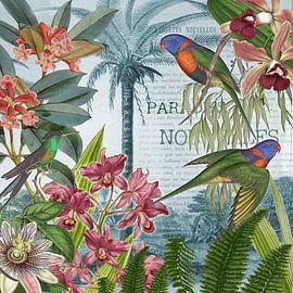 Geschichten aus dem Paradies von christine b-b müller