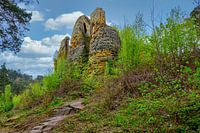 A view of the Klusfelsen in the Harz Mountains