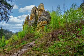 Ein Blick auf den Klusfelsen im Harz von Andreas Völkel