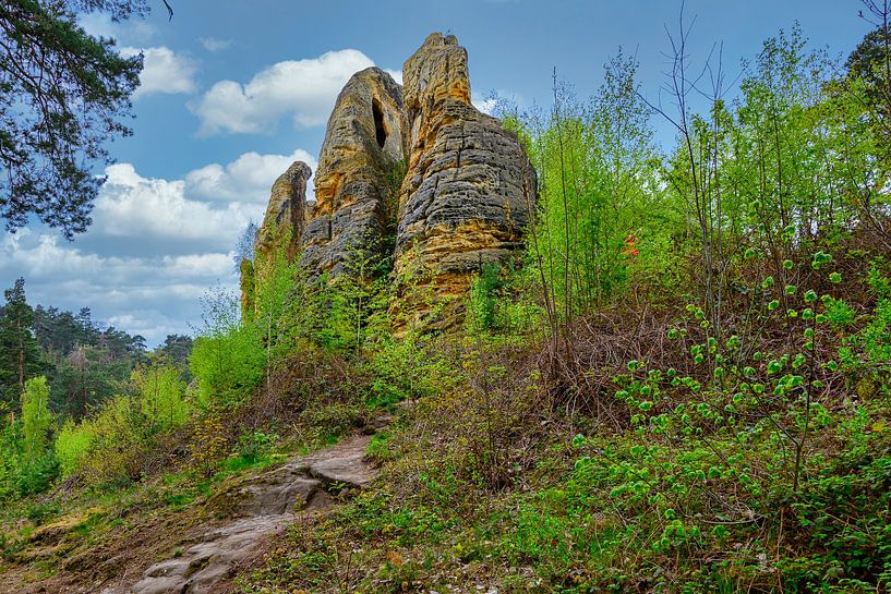 A view of the Klusfelsen in the Harz Mountains by Andreas Völkel