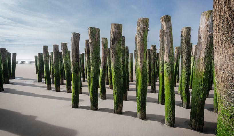 1056 Côte d'Opale par Adrien Hendrickx