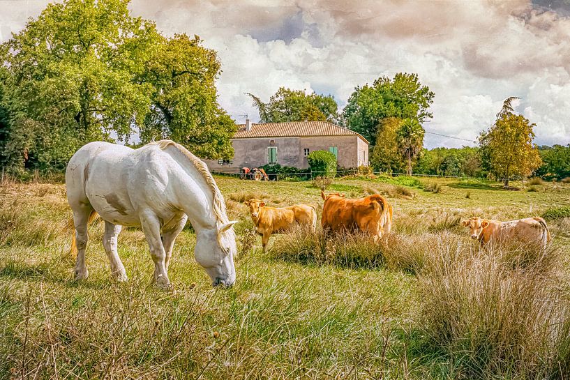 Pastoraal landschap  in Bourgondië, Frankrijk van Marcel Bakker