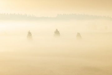 Mistige zonsopkomst Duurswouderheide (Nederland) van Marcel Kerdijk