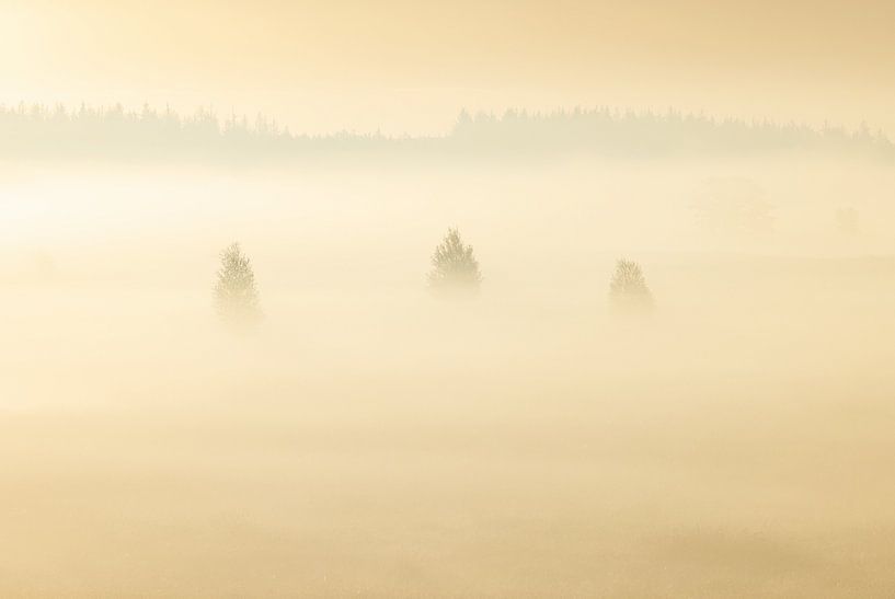 Foggy sunrise Duurswouderheide (Netherlands) by Marcel Kerdijk