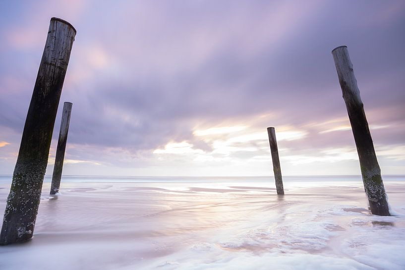 Palendorp Petten by Tom Vogels
