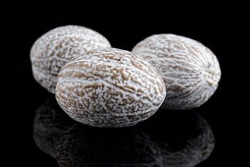 Nutmeg isolated on a black background by Sjoerd van der Wal Photography