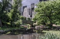 Central Park  New York von Kurt Krause Miniaturansicht