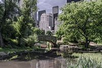 Central Park New York