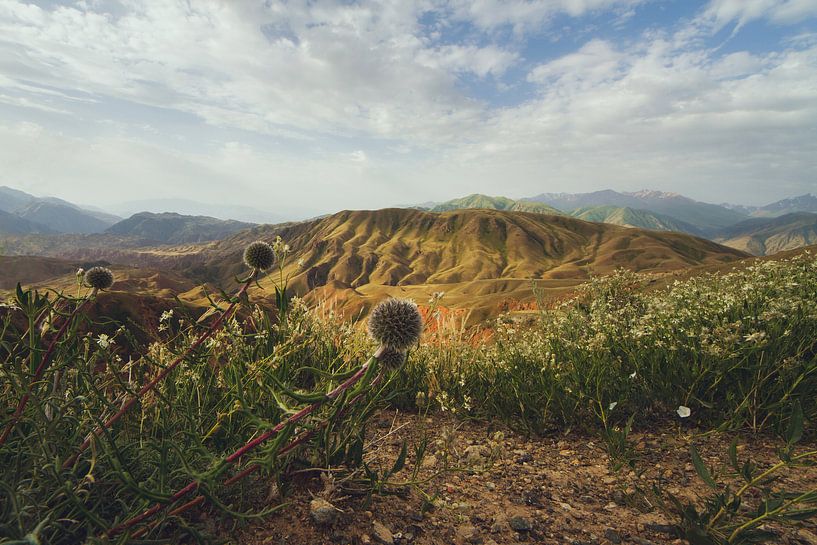 Summer in the mountains by Elena Jongman