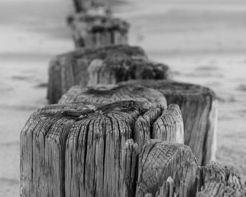 Beach poles (5) by Ellen de Roo