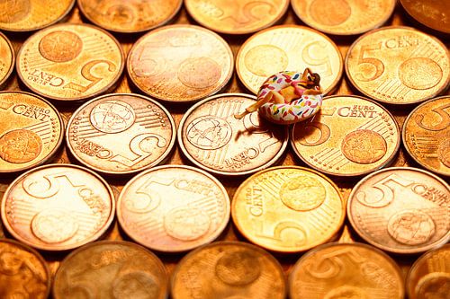 zwemmen in het geld