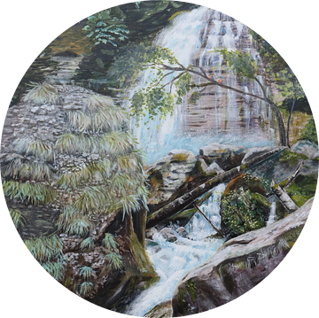 bossen, schilderijen,  Waterval, landscape. Wasserfall, Landschaft. Cascade, paysage. van sandra de jong