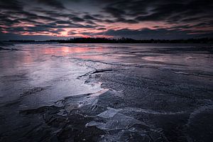 L'hiver dans le Biesbosch sur Eddy Westdijk