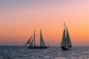 Sailing ships in the sunset at the Hanse Sail in Rostock