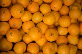 Sinasappels sur Smithfotografie Joey