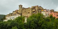 Maorola