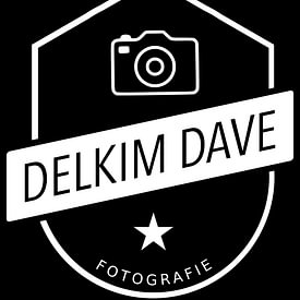 delkimdave Van Haren profielfoto