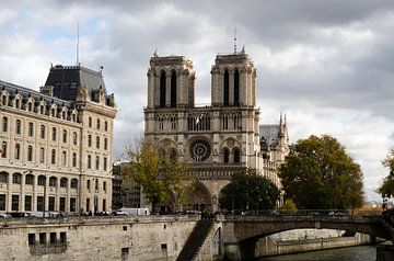 Parijs - De Notre-Dame van Eline Willekens