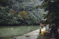 Regentag in einem Restaurant in Arashiyama in Kyoto von Mickéle Godderis Miniaturansicht