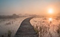 Nebliger Morgen