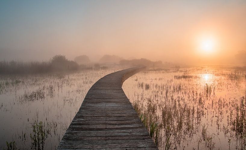 Nebliger Morgen von Monica de Jong