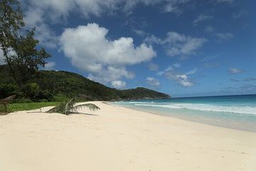 Seychelles. Anse Petit Boileau van Dmitriy Koublitskiy