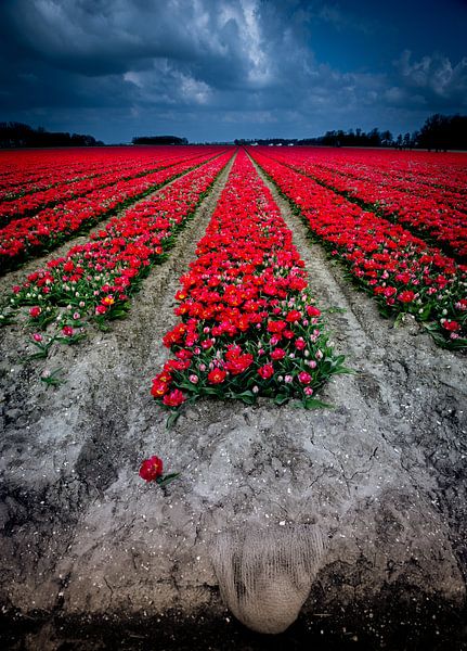 lits rouges par peterheinspictures
