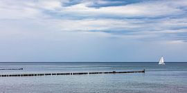 Segelboot vor Kühlungsborn auf der Ostsee von Werner Dieterich