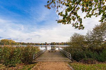 Blick über den Haussee auf die Stadt Feldberg von Rico Ködder