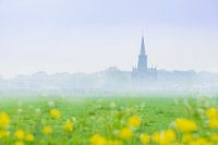 Church in The Netherlands