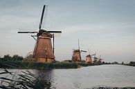 Kinderdijk van Maikel Schrama thumbnail