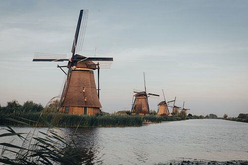 Kinderdijk