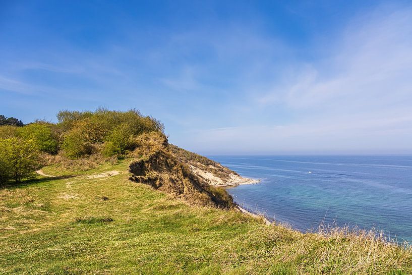 Steep coast at thorn bush on the island Hiddensee by Rico Ködder