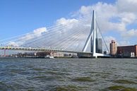 Erasmusbrücke, Rotterdam von Peter Apers Miniaturansicht