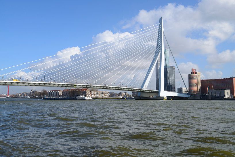 Erasmusbrücke, Rotterdam von Peter Apers