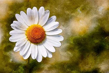 Marguerite à l'aquarelle