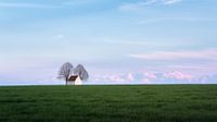 Kapel in het groene veld