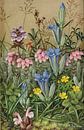 Wilde Blumen von Antonije Lazovic Miniaturansicht