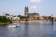 Magdeburg an der Elbe mit Touristenschiff von Frank Herrmann Miniaturansicht