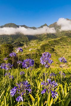 Landschaft bei Sao Vicente auf Madeira - Portugal von Werner Dieterich