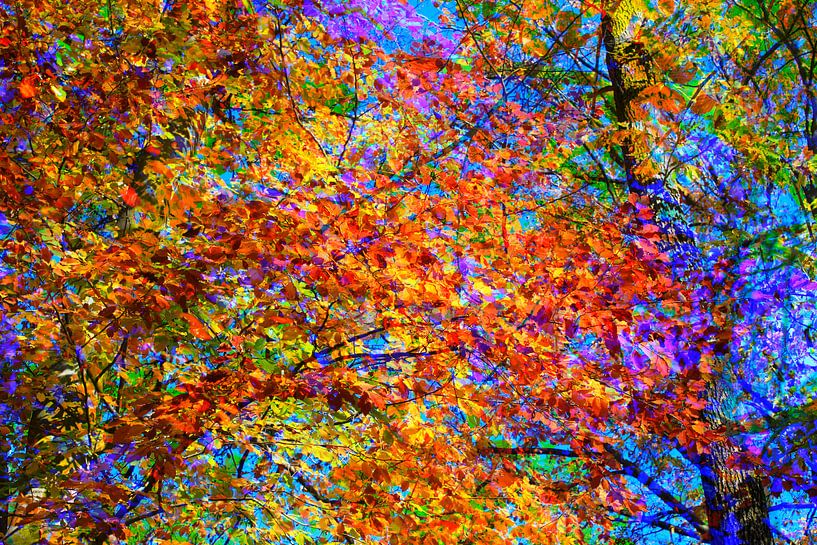 Golden October by Thomas Jäger