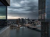 Moody Rotterdam van David Zisky thumbnail