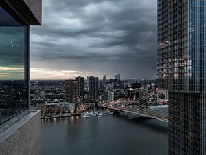 Moody Rotterdam sur David Zisky