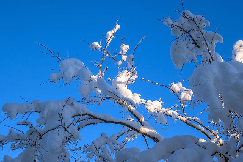 WINTERTIJD : WINTERTAKJE van Photoart-Naegele