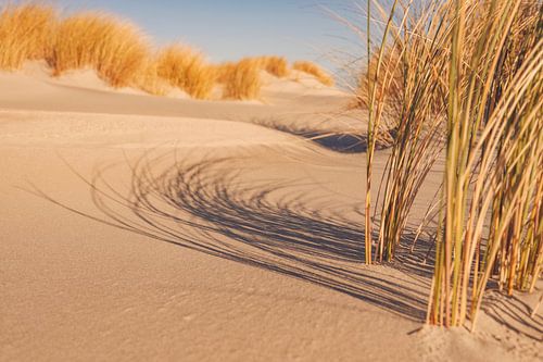 Strand op het eiland Schiermonnikoog in de Waddenzee