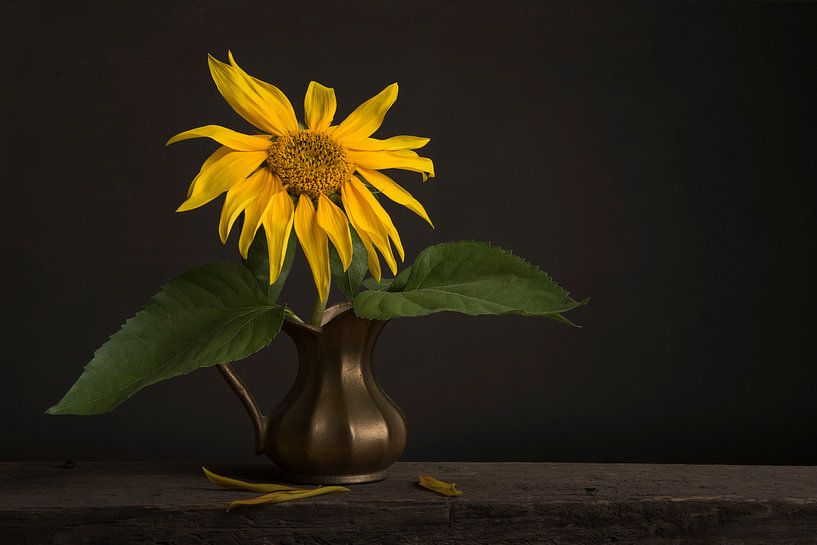 Stilleben mit einer Sonnenblume von Elles Rijsdijk