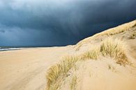 Donkere wolken boven het strand van Texel van Sjoerd van der Wal Fotografie thumbnail