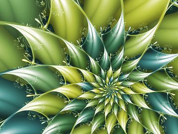 Jacky Color by Claudia Gründler