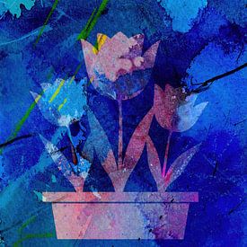 période de floraison sur Kay Weber